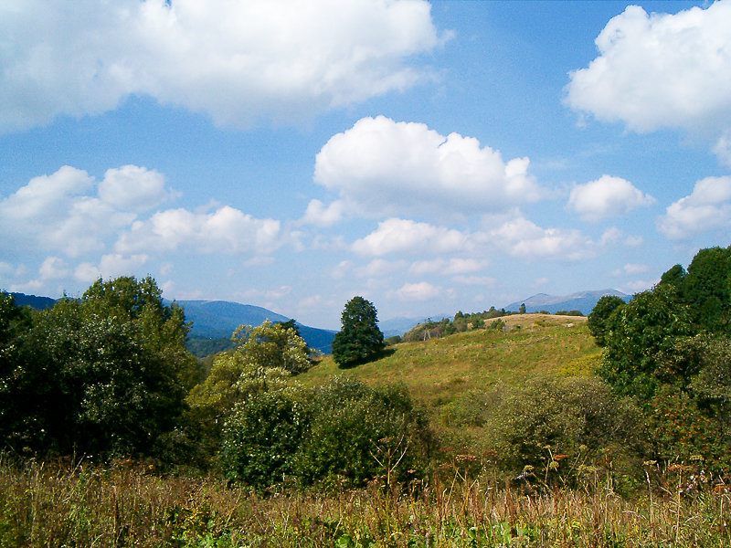 Bieszczady 