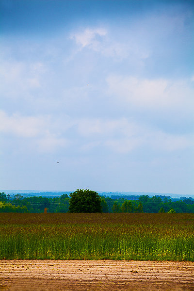 IMG-1535.jpg